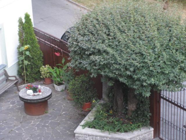 Ferienwohnung Lienz Egger Buitenkant foto